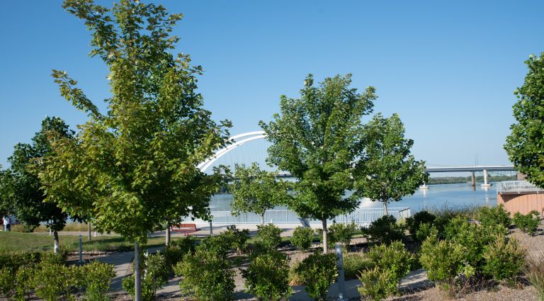 call out image for Jetty Park