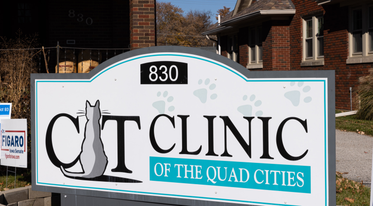 call out image for Cat Clinic of the Quad Cities