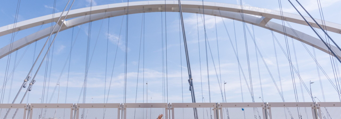 people looking at a bridge